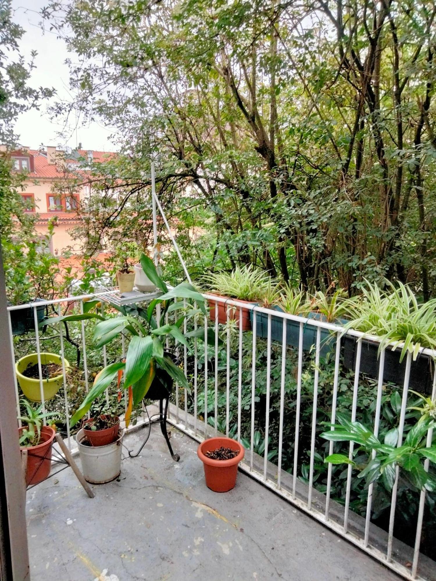 Dans L'Atelier Hostel Unidade Porta Nova Braga Eksteriør bilde